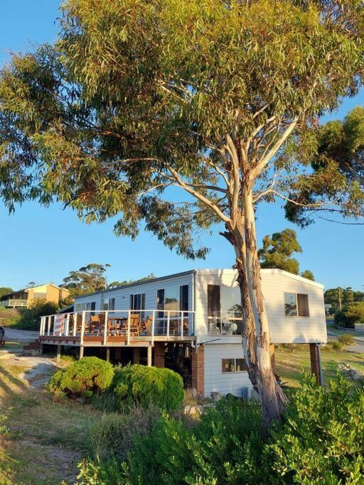 Old Salty Binalong Bay Exterior foto