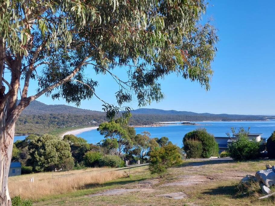 Old Salty Binalong Bay Exterior foto